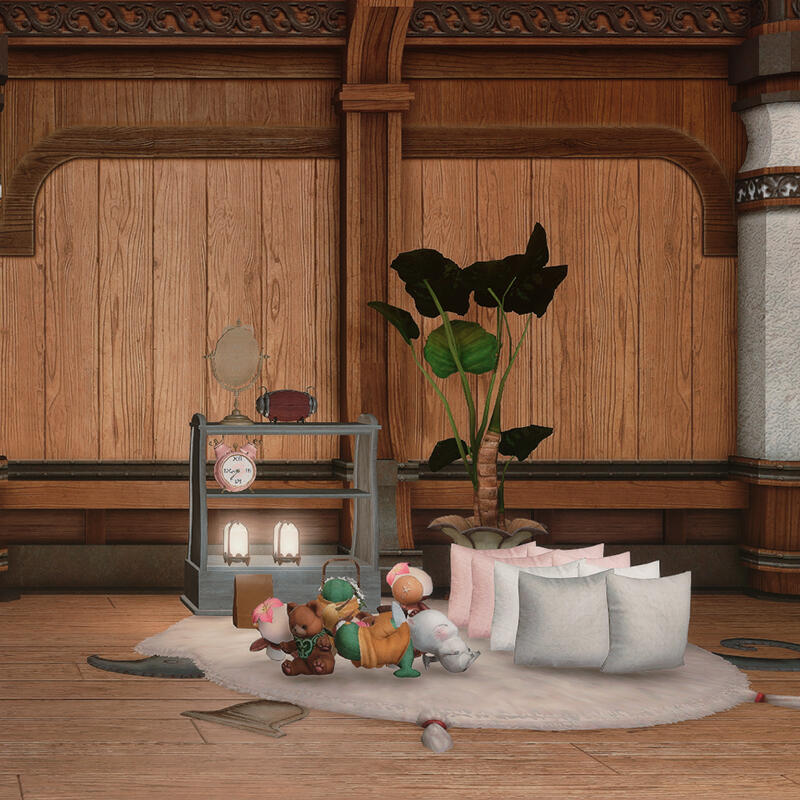 Not this! Don't put items on carpet or shelves.